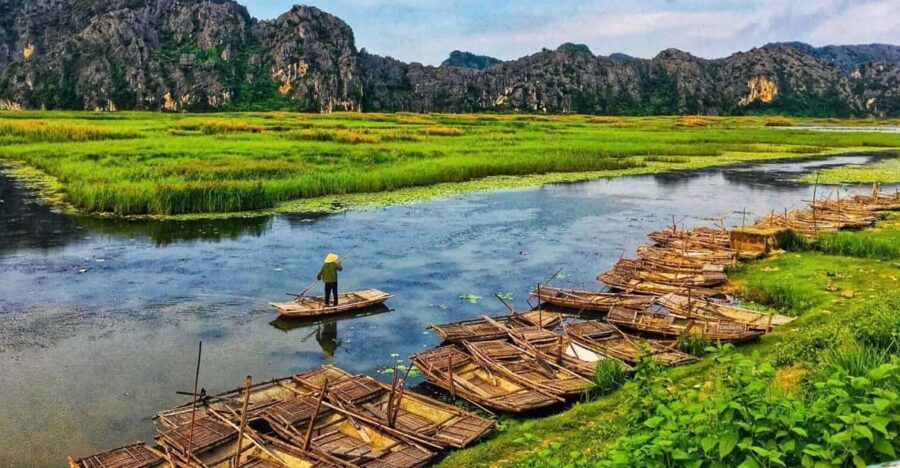 From Ninh Binh: Visit Cuc Phuong National Park - Van Long - The two tree hikes: 1000 Years Old Tree and the Ancient Tree