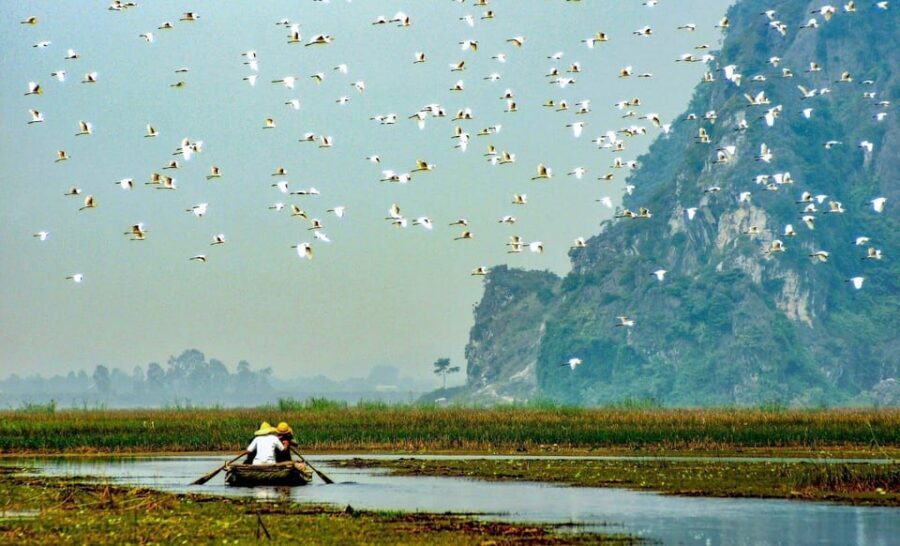 From Ninh Binh: Visit Cuc Phuong National Park - Van Long - Cuc Phuong National Park: primates, botanical gardens, and the prehistoric cave