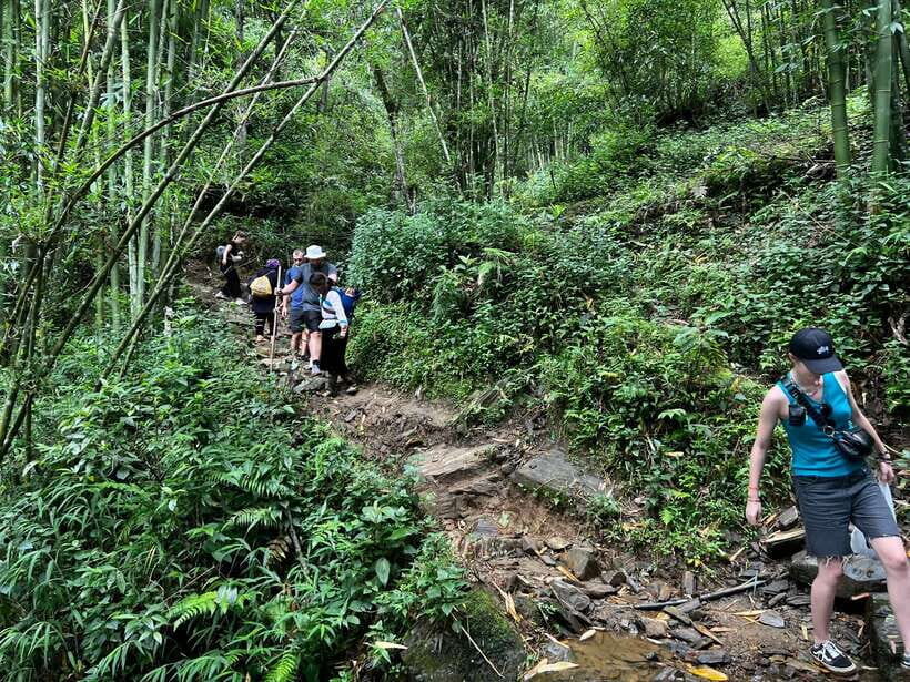 From Sa Pa: One Day Fansipan Mountain Trek - Summit Timing, Views, and When Clouds Win