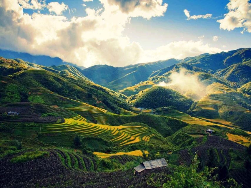 From Sapa : 1 Day Amazing Sapa Trek To Terrace rice field - Key highlights in plain terms