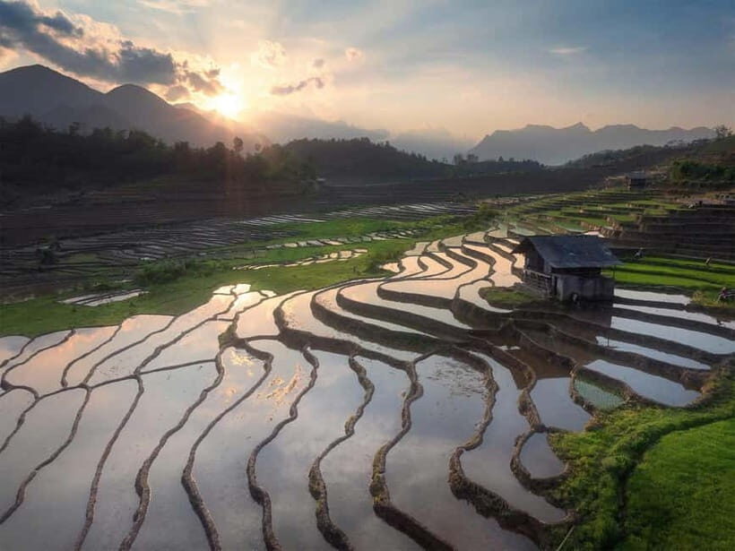 From Sapa : 1 Day Amazing Sapa Trek To Terrace rice field - Terrace rice, corn, and potato fields: the part you came for