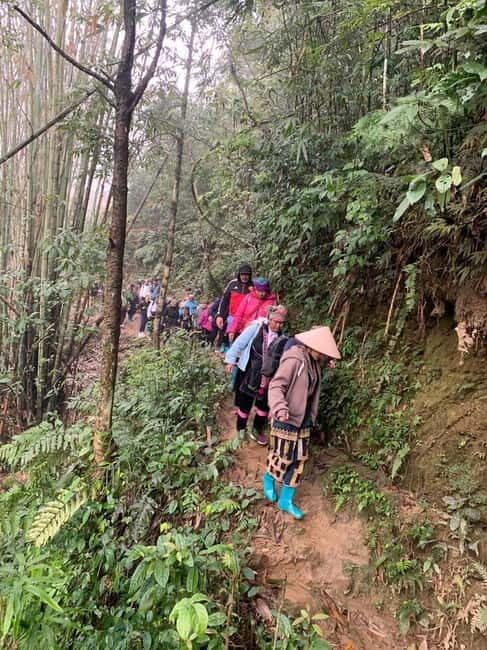From Sapa : 1 Day Amazing Sapa Trek To Terrace rice field - Shuttle bus back and the 14:00–14:30 finish