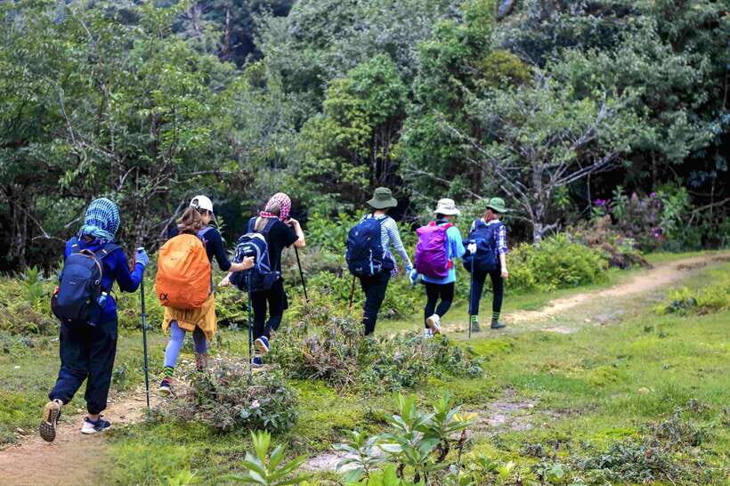 From Sapa: Fansipang Mountain Hike 1 Day - 2,400m to 2,800m: the steep middle and the rhododendron push