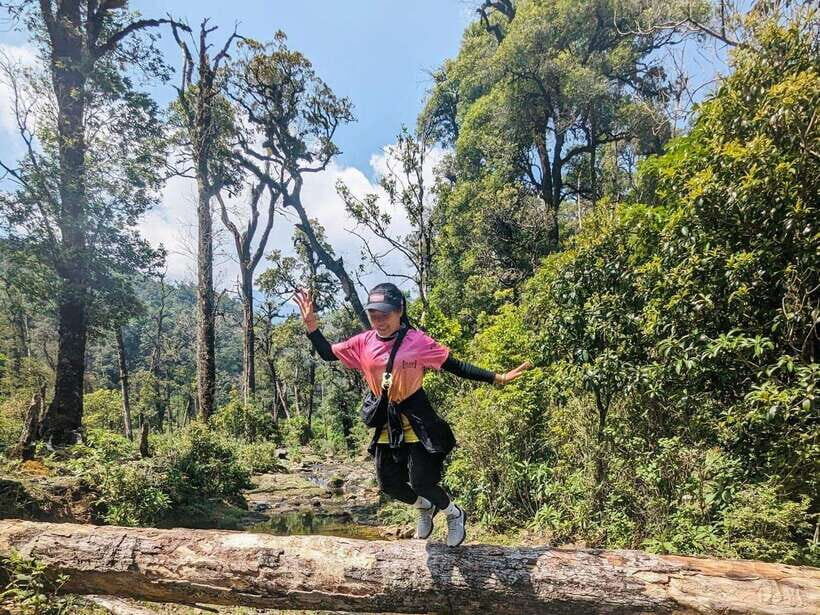 From Sapa: Fansipang Mountain Hike 1 Day - Lunch at 2,800m: your morale break (and why it’s planned)