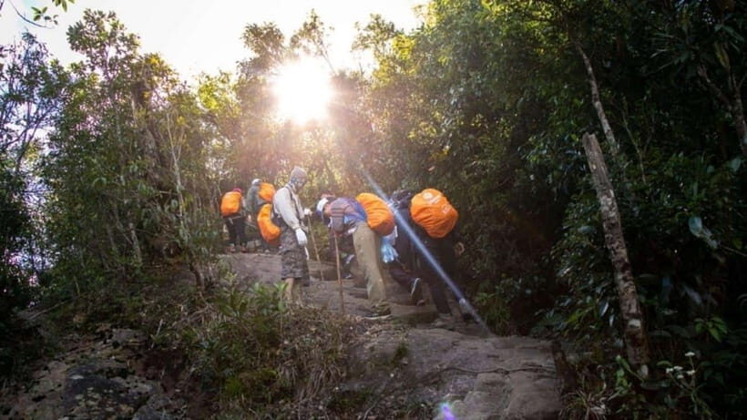 From Sapa: Full-Day Fansipan Peak Trekking Tour - Sapa pickup and the 30-minute transfer: setting your rhythm