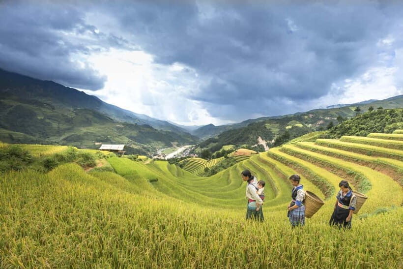 From Sapa Homestay Hideaway 2-Day Local Life Adventure - Why This Sapa Homestay Trek Feels Local, Not Touristy