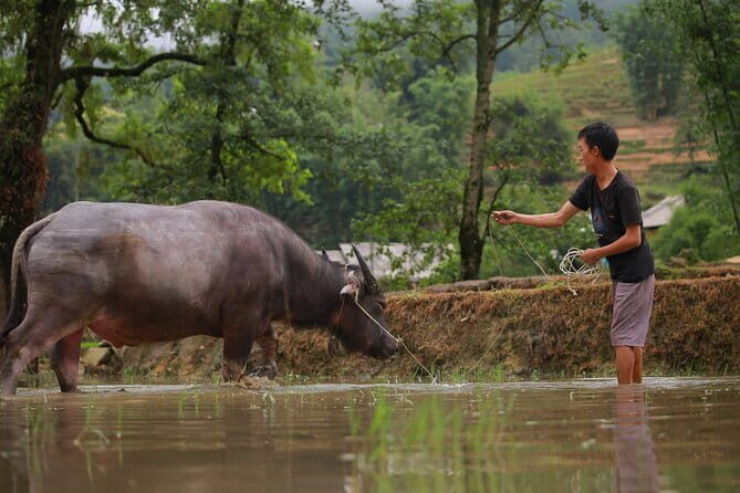 Full Day Cultural Tour in Sapa Terraces - Quick highlights (why this one is worth your time)