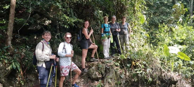 Full day hike - climbing in Jungle of Cat Ba National park - Cat Ba National Park: why this hike feels different