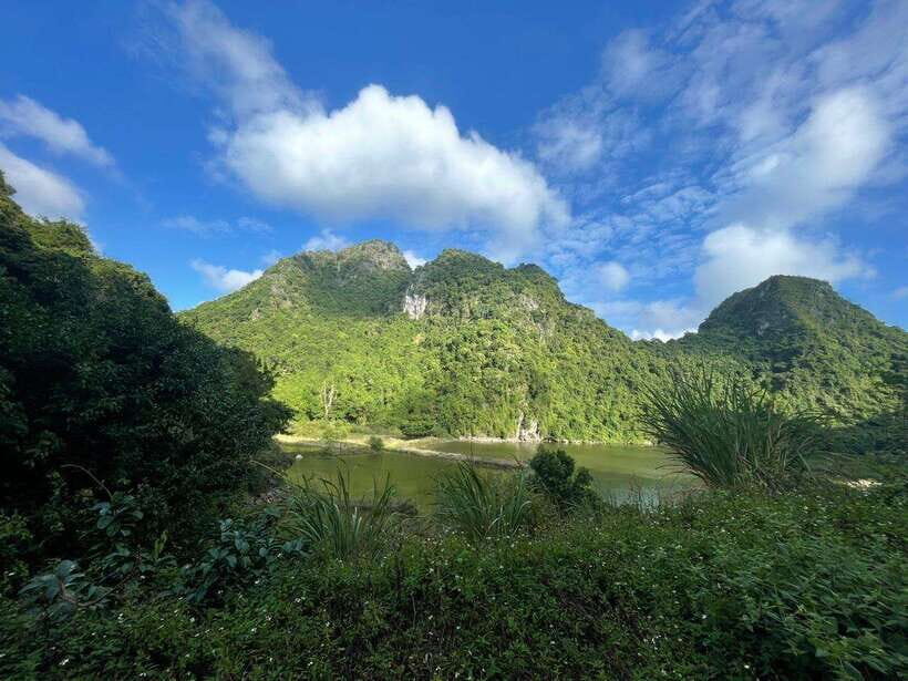 Full day hike - climbing in Jungle of Cat Ba National park - The jungle trek: mountain climbs and wildlife chances
