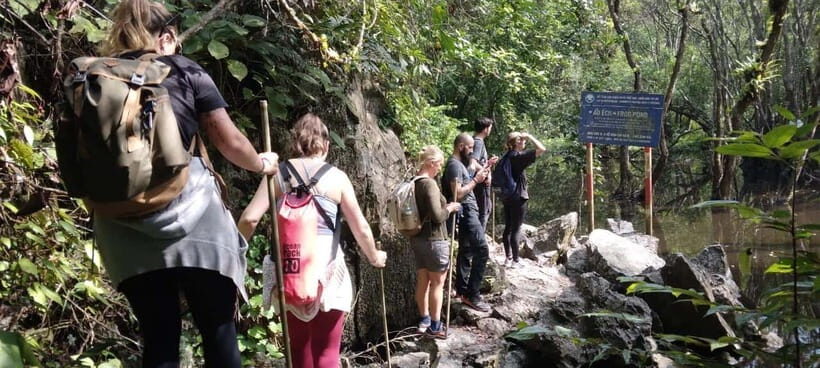 Full day hike - climbing in Jungle of Cat Ba National park - The frog pond break: Va Nuoc trees and freshwater life