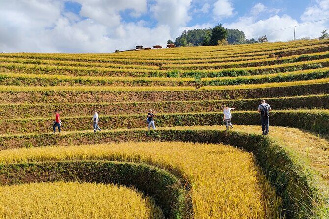 Full day motorbike Mu Cang Chai - Morning route: Hau De waterfall and raspberry-hill rice views
