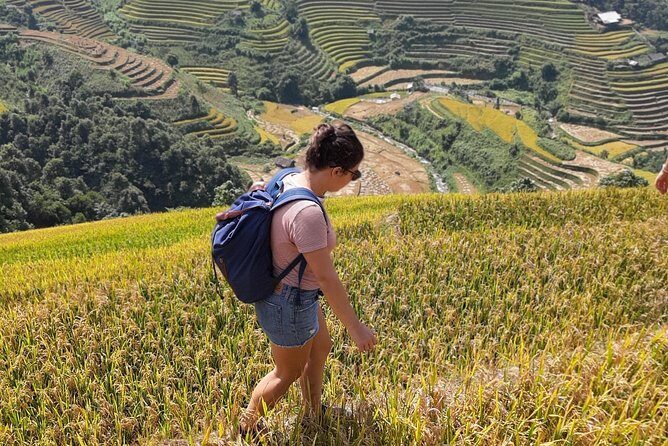 Full Day Private Trekking Mu Cang Chai - Mu Cang Chai rice terraces: more than a photo stop