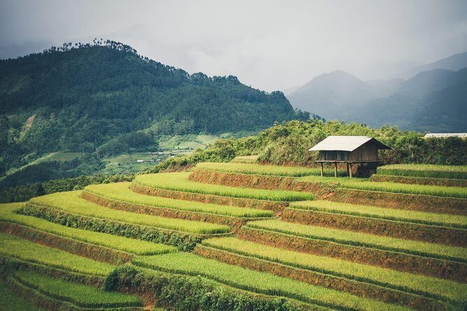 Full Day Private Trekking Mu Cang Chai - Lunch in the high mountains: simple, filling, local