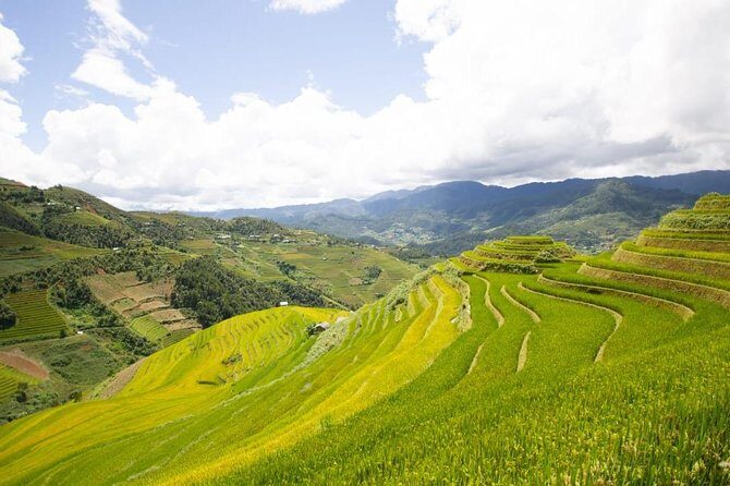 Full Day Private Trekking Mu Cang Chai - Transfers from La Pan Tẩn / Mu Cang Chai: less stress, more time