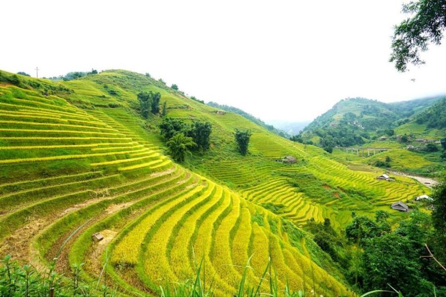Full Day Trekking Lao Chai-Ta Van and Cat Cat Village - Key highlights to look for