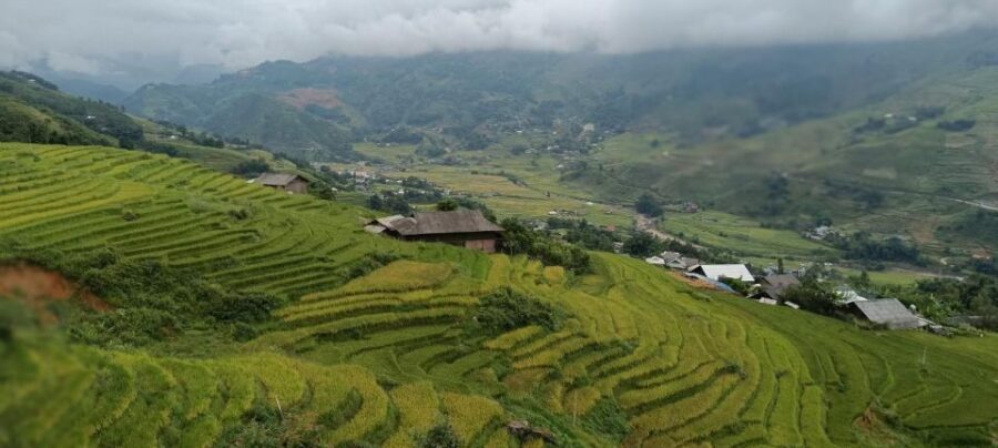 Full Day Trekking Lao Chai-Ta Van and Cat Cat Village - Cat Cat Village at 14:30: the deep-valley vibe and the short second hike