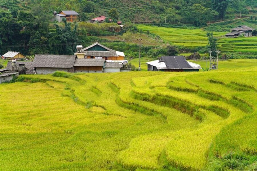 Full Day Trekking Lao Chai-Ta Van and Cat Cat Village - Village visiting and shopping: what to do with your camera and cash