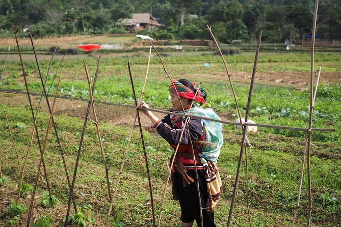 Ha Giang Easy Rider 3D3N - Price and logistics that matter: $336 with meals and key admissions