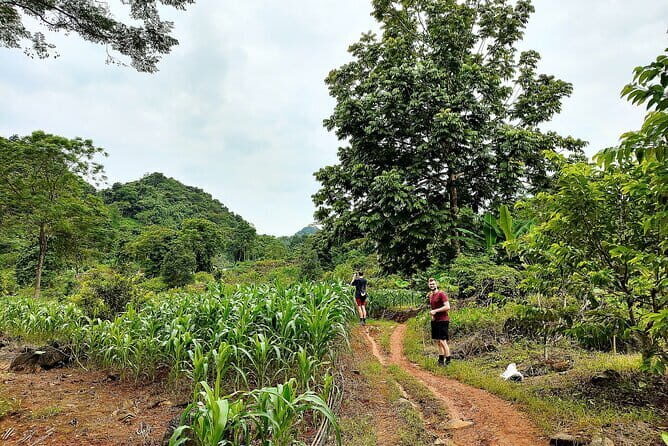 Ha Giang Loop 2 days 1 night with easy Rider - Who should book this easy rider loop?