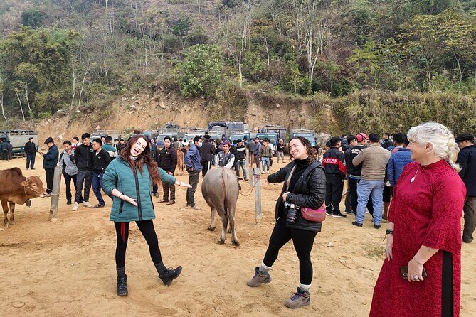 Ha Giang Loop Motorbike Adventure – 3 Days from Hanoi - The ride options: easy riders vs self-drive, and what to prepare