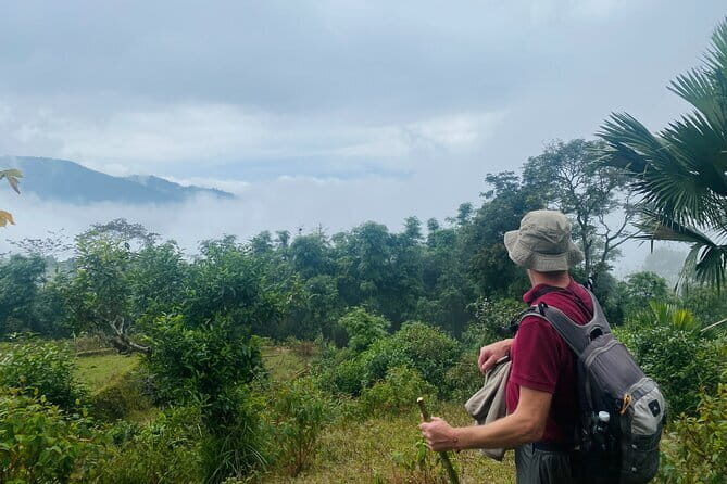 Ha Giang Loop Trekking Full Day Tour - Small-group pacing and safety: why it feels easier than big tours