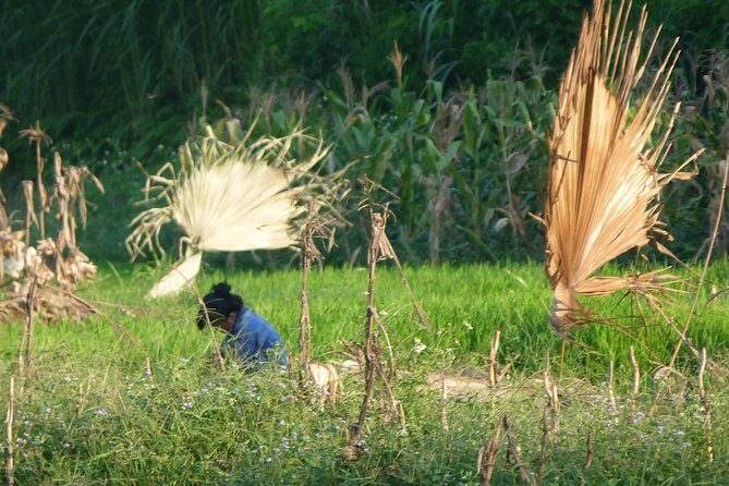Ha Giang Trekker 2D2N - Key Highlights at a Glance