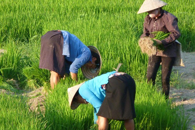 Ha Giang Trekker 2D2N - Responsible Tourism You Can See in the Small Details