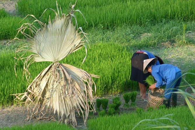 Ha Giang Trekker 2D2N - Should You Book Ha Giang Trekker 2D2N?