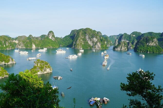 Ha Long Bay 1 Day Joined Luxury Tour - Hanoi to Tuan Chau: how the limo transfer changes the day