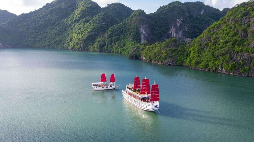 Ha Long Bay - Bai Tu Long Bay Luxury Boat Tour & Transfer - Luon Water Cave: kayak or bamboo boat through the “gate”