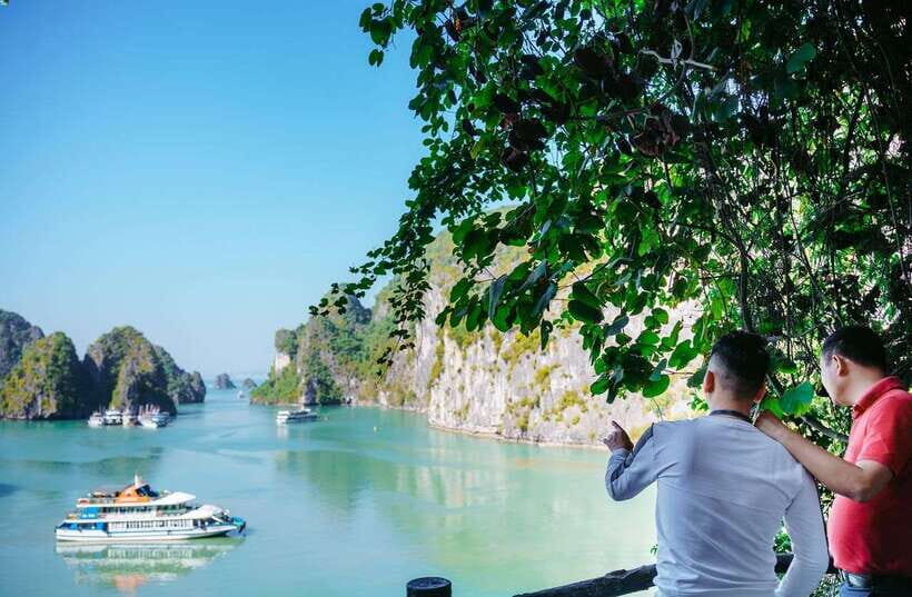 Ha Long Bay Day Trip with Best Price - The big-picture itinerary pacing (and why it works)
