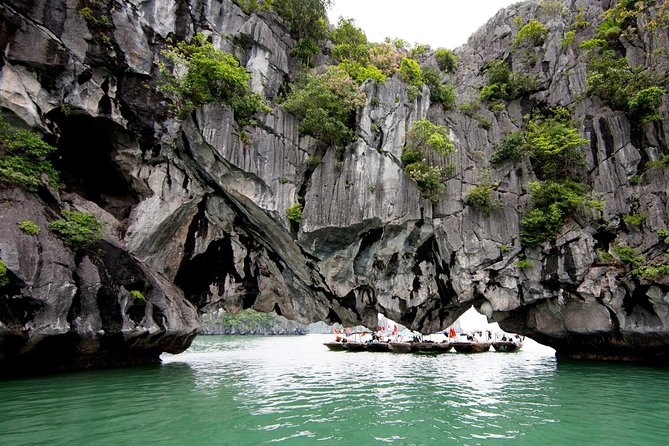 Ha Long Full Day 4-Hour Trip from Hanoi - Bahang Floating Village: seeing daily life on the water