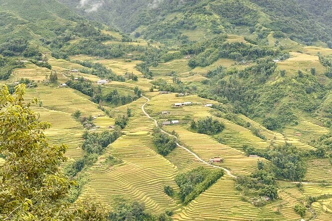 Ha Noi Car Transfer to Sapa or Vice Versa - The Pickup in Hanoi: Early Arrival, Clear Contact, Low Stress
