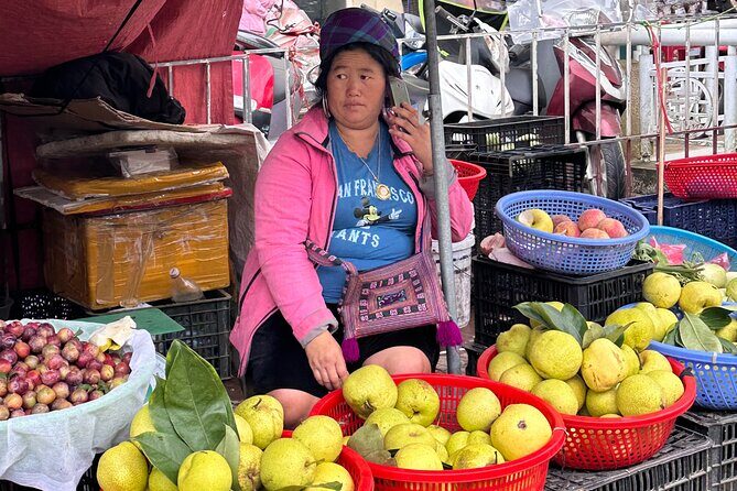 Ha Noi Car Transfer to Sapa or Vice Versa - Arrival in Sapa: Luggage Help and a Smooth End to the Trip