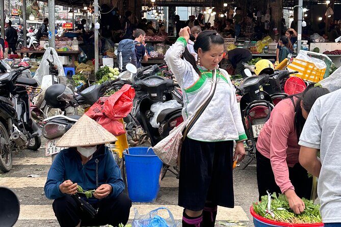 Ha Noi Car Transfer to Sapa or Vice Versa - Return Trip Planning: Hanoi–Sapa or Sapa–Hanoi