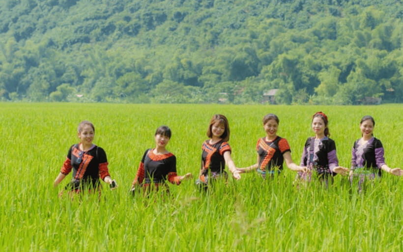 Ha Noi - Mai Chau - Pu Luong 2 Days 1 Night Trekking Tour - Thai Stilt-House Homestay in Mai Chau: Food, Quiet Hours, and Night Culture
