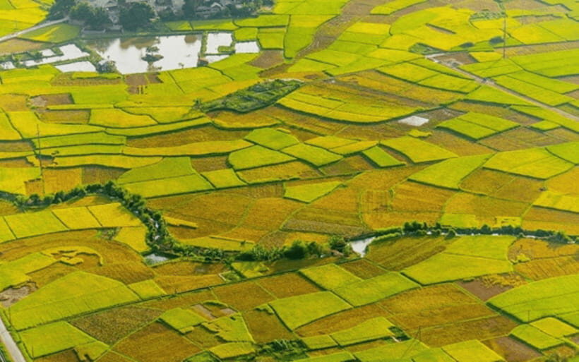Ha Noi - Mai Chau - Pu Luong 2 Days 1 Night Trekking Tour - Thung Khe Pass and Com Lam: A Scenic Stop With Real Local Taste