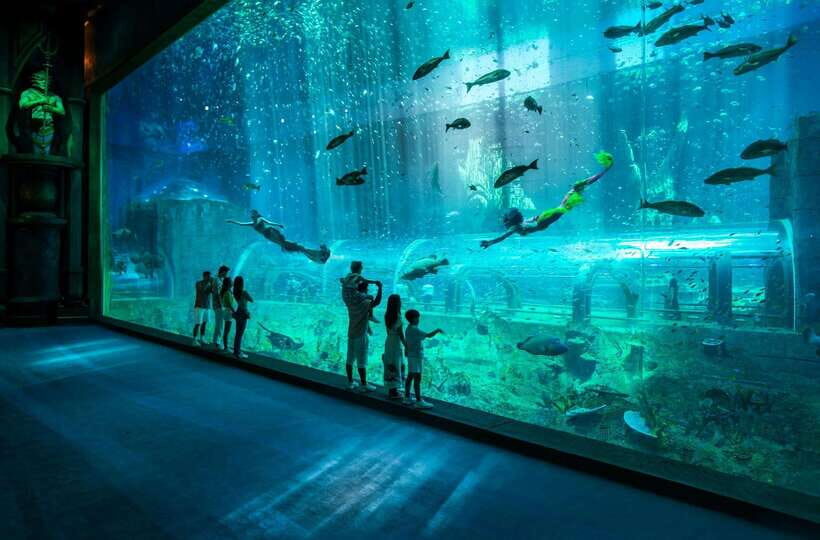 Ha Noi: VinKE and Vinpearl Aquarium Entry Ticket - Key Things to Know Before You Go