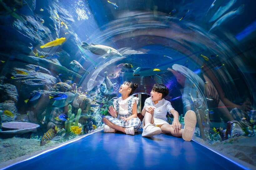 Ha Noi: VinKE and Vinpearl Aquarium Entry Ticket - Where VinKE and Vinpearl Aquarium Are in Hanoi