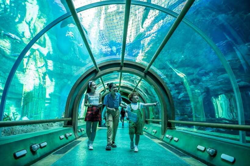 Ha Noi: VinKE and Vinpearl Aquarium Entry Ticket - A Practical Way to Plan Your Day (Shows + Exploration)