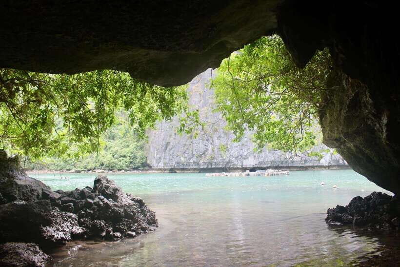 Half day Lan Ha Bay excursion ( 4 hours ): Kayaking, Snorkel - Key Things I’d Watch For on This Half-Day Lan Ha Tour