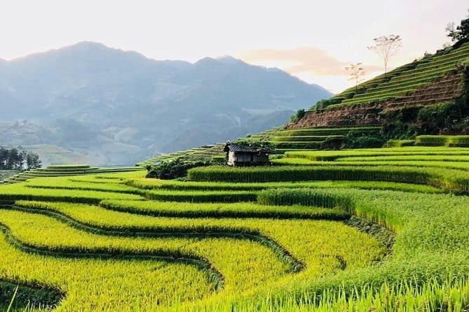 Half-Day Private Muong Hoa Valley Trek and Ethnic Tribes Tour - Price, Time, and What You’re Actually Paying For