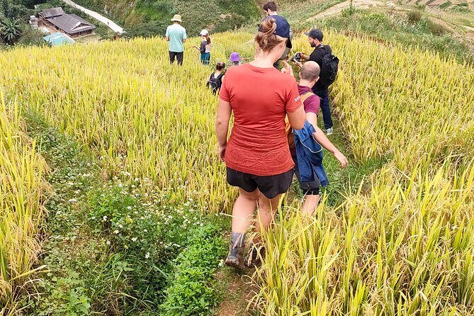 Half Day Private Trekking Mu Cang Chai_Morning or Afternoon - Lunch at an indigenous homestay: why it matters for value