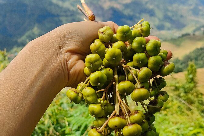 Half Day Private Trekking Mu Cang Chai_Morning or Afternoon - What you’ll walk past in Mu Cang Chai (and what to look for)