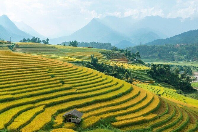 Half Day Sapa Cat Cat Explore Waterfall, Workshop, H'mong Local - Lunch, Tea, and the Return Walk Through Rice Terraces