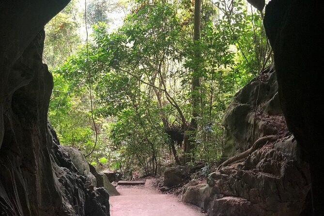 Half Day Trekking Cat Ba National Park - Price, Timing, and the Real Value of $40 for a 4-Hour Day