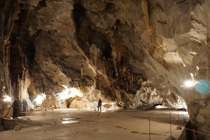 Half Day Trekking Cat Ba National Park - How to Prepare for the Climb Without Killing the Fun