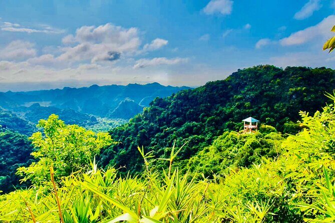 Half Day Trekking in Cat Ba National Park and Hospital Cave - Pickup, timing, and how to plan your day