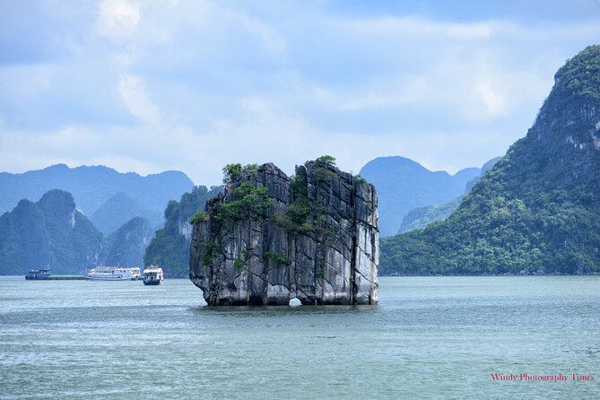 Halong Bay 6 Hours Cruise with Buffet, Sung Sot, Luon Cave, Titop - Sung Sot Cave: Halong Bay’s Main Cave Stop (and What to Expect)
