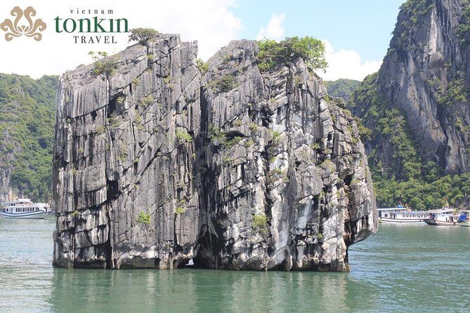 Halong bay Boutique Cruise 2D/1N tour: Kayaking, swimming, Titop island & cave - Key highlights at a glance